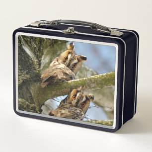 Twee uilen in het bos, vogels, dieren in het wild
