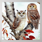 Twee uilen zittend in een witte berkenboom in de h poster (Voorkant)