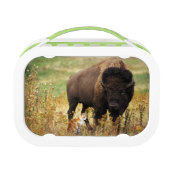 Twee van een soort lunchbox (Voorkant)