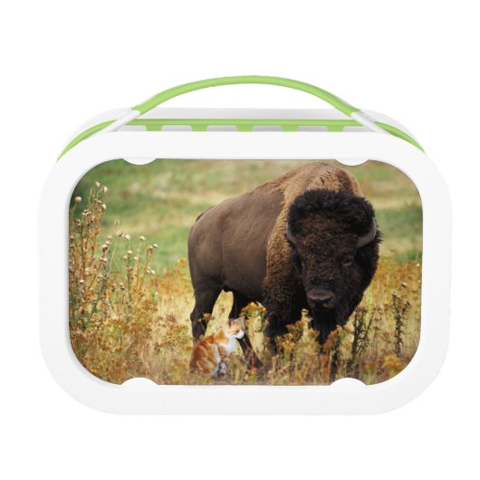 Twee van een soort lunchbox (Voorkant)