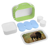 Twee van een soort lunchbox (Gehele Product)