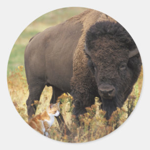 Twee van een soort ronde sticker