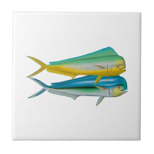 TWEE VAN HEN TEGELTJE