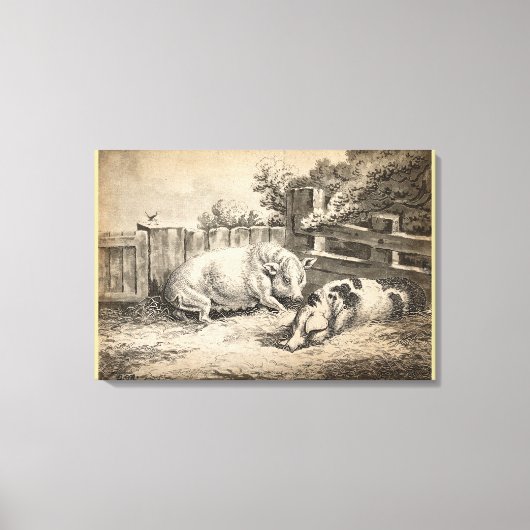 Twee Varkens die in rietje liggen in een buitenpen Canvas Afdruk (Voorkant)
