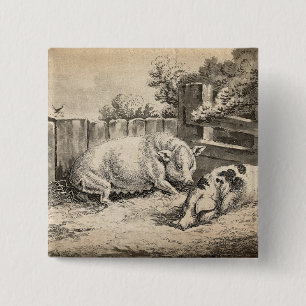 Twee varkens liggend in stro in een buitenverblijf vierkante button 5,1 cm