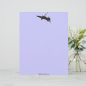 TWEE VECHTENDE BALD EAGLES briefhoofd ontwerp (Staand voorkant)