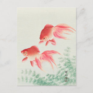 Twee Veil Goldfish Painting door Ohara Koson Briefkaart