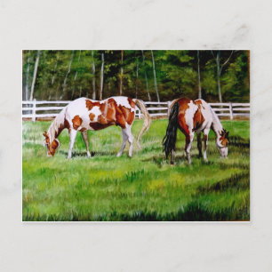 Twee verfpaarden grazen briefkaart