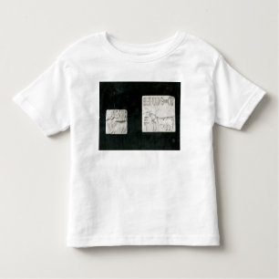 Twee versierde zegels die een zebu en een kinder shirts