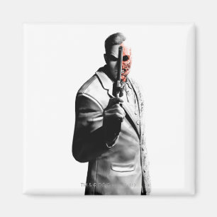 Twee vlakken magneet