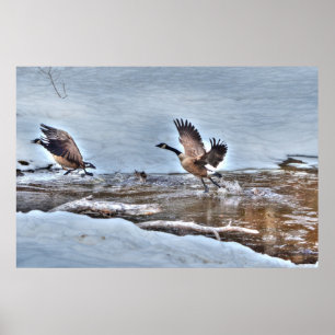 Twee vliegende Canadese ganzen en Winter Pond Wild Poster