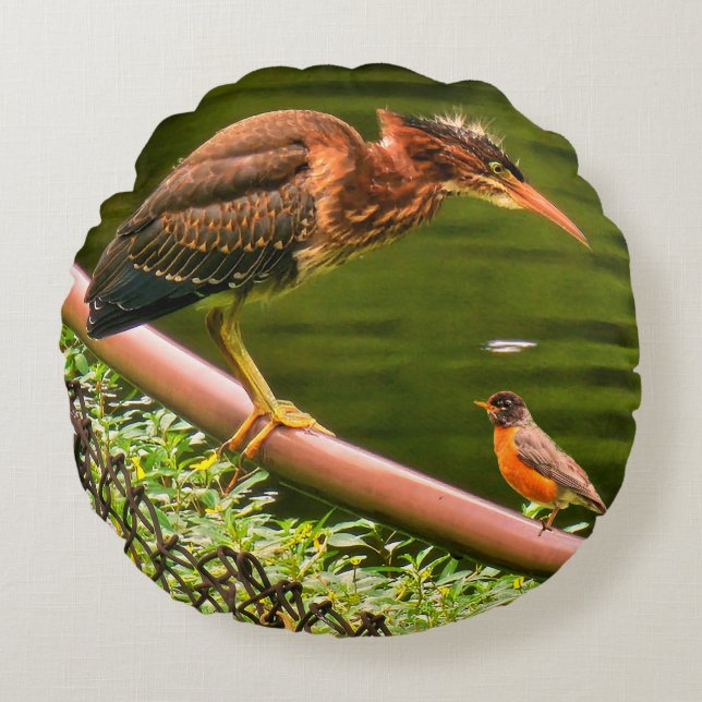 Twee vogels rond kussen (Voorkant)