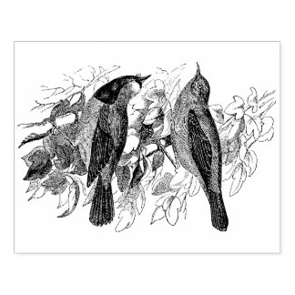 twee vogelsoorten Antiek Rubberstempel