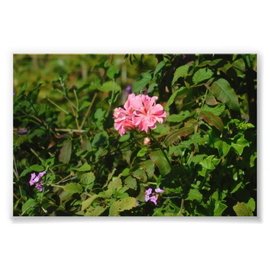 Twee voor één foto afdruk (Voorkant)