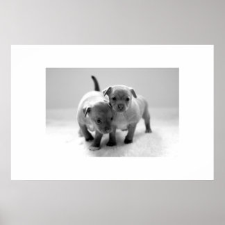 Twee voor één poster