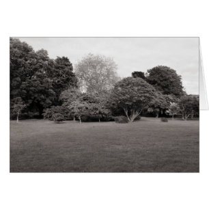 Twee voor Joy (Warm Toned BW)