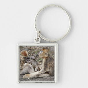 Twee vrouwelijke Gouden Monkeys met pasgeborenen Sleutelhanger