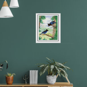 Twee Waterverf Stellar Jay Vogels Bosbomen Poster