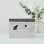 TWEE WHALES BRIEFKAART (Staand voorkant)