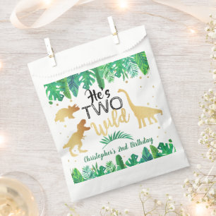 Twee Wild Dinosaur Boys 2e verjaardag Bedankzakje