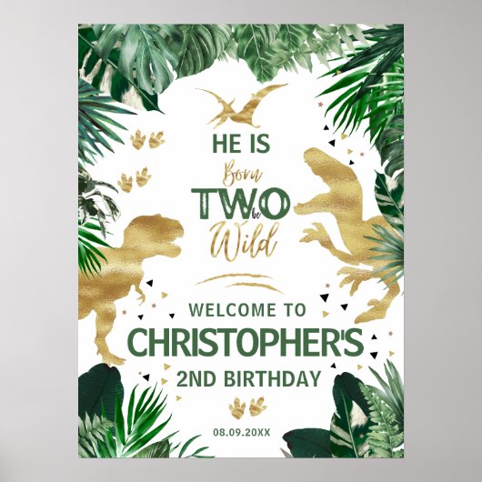 Twee Wild Dinosaur kinder 2e verjaardag Welkom Poster (Voorkant)