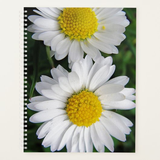 Twee witte dageraad planner (Voorkant)