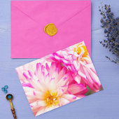 Twee witte en roze Dahlia blanco noot