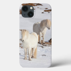 Twee witte IJslandse paarden iPhone 13 Hoesje