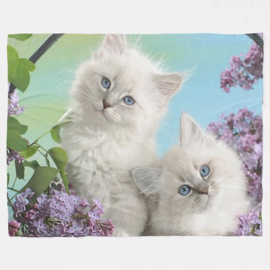 TWEE WITTE KITTENS FLEECE DEKEN (Voorkant (Horizontaal))