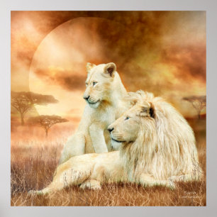 Twee witte luiers - samen fijn Poster/afdrukken Poster