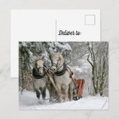Twee witte paarden die een buik door sneeuw trekke briefkaart (Voorkant / Achterkant)