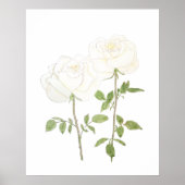 twee witte rozen inkt en waterverf 2023 poster (Voorkant)