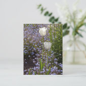 Twee Witte Tulpen Briefkaart (Staand voorkant)