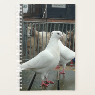 Twee witte vredesduiven. planner