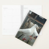 Twee witte vredesduiven. planner (Display)