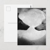 Twee wolven tegenover elkaar briefkaart (Voorkant / Achterkant)