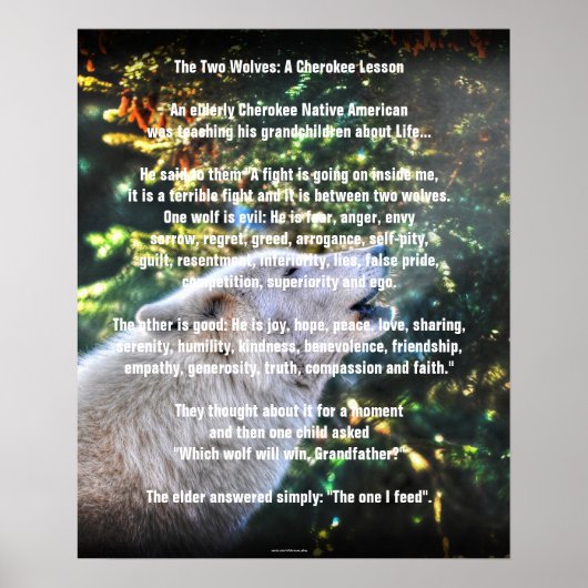 TWEE WOLVES CHEROKEE TALE Art Poster (Voorkant)