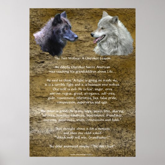TWEE WOLVES CHEROKEE TALE Art Poster (Voorkant)