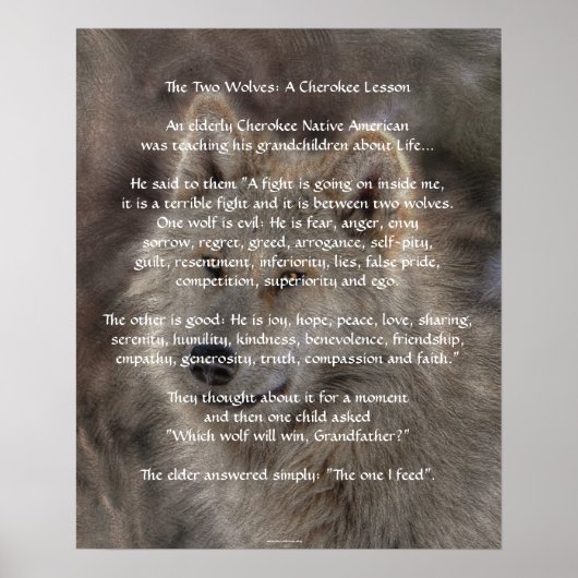 TWEE WOLVES CHEROKEE TALE Art Poster (Voorkant)