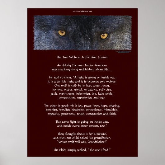 TWEE WOLVES CHEROKEE TALE Art Poster (Voorkant)