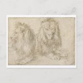Twee zaadleeuwen door Albrecht Durer Briefkaart (Voorkant)