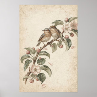 Twee zangvogels op appelbloesem Botanische Poster
