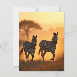 Twee zebra's briefkaart