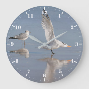 Twee zeegarren met reflectie grote klok