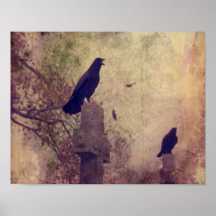 Twee zeer koude ravens poster