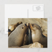 Twee zegels zogende Briefkaart (Voorkant / Achterkant)