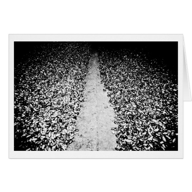 twee zijden van cacao (Voorkant Horizontaal)