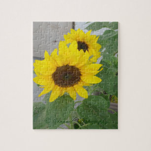 Twee zonnebloemen puzzel legpuzzel