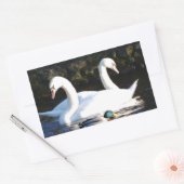 Twee zwanen en een eend rechthoekige sticker (Envelop)