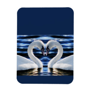 Twee zwanen magneet